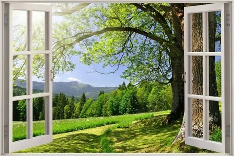 best window installation company in chennai